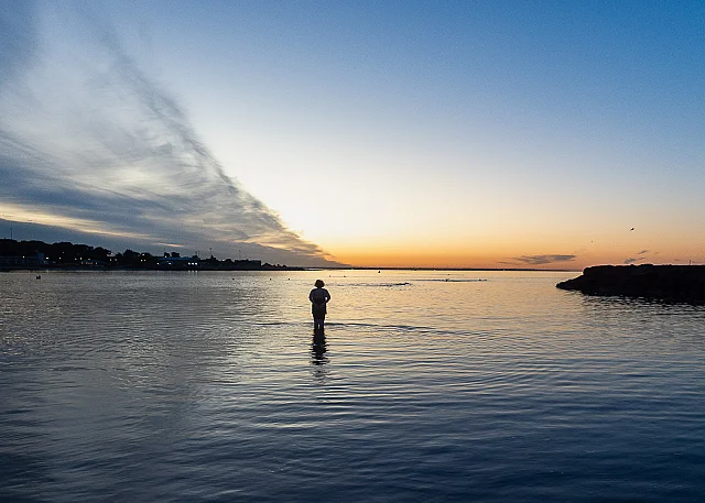 Dawn Swimmers Williamstown
