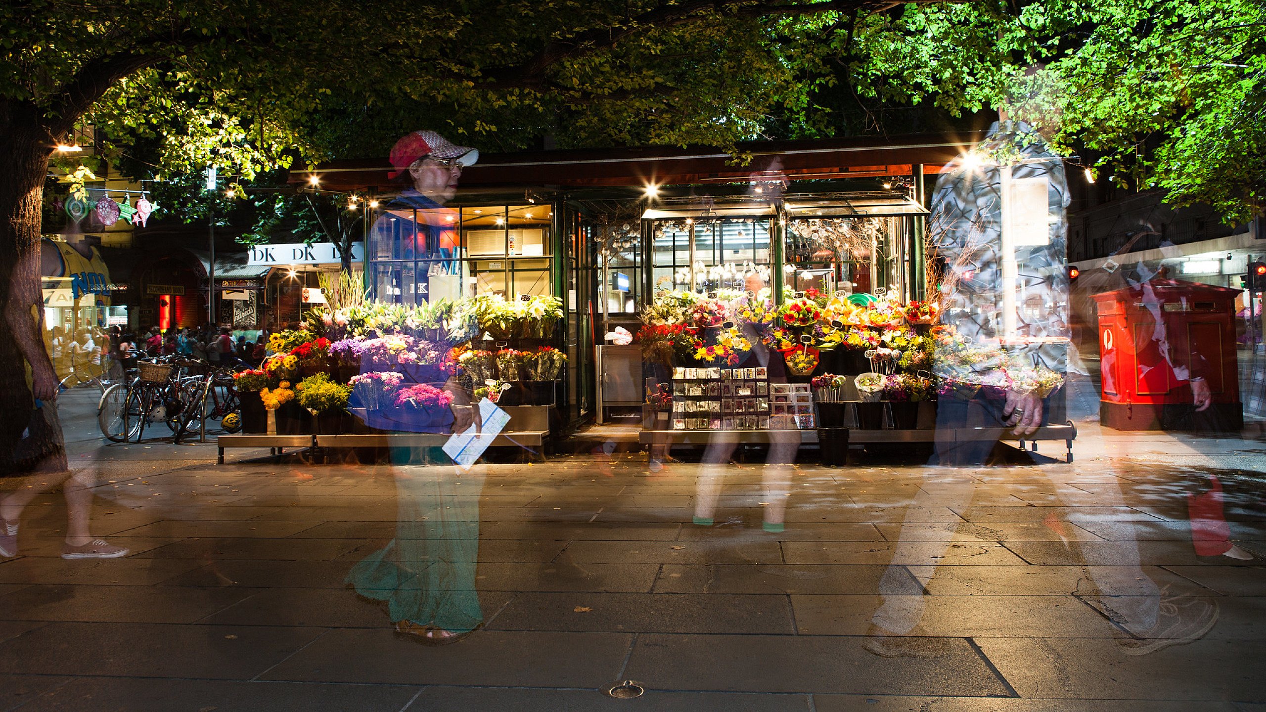 Judging: Competition 5: Night and Open