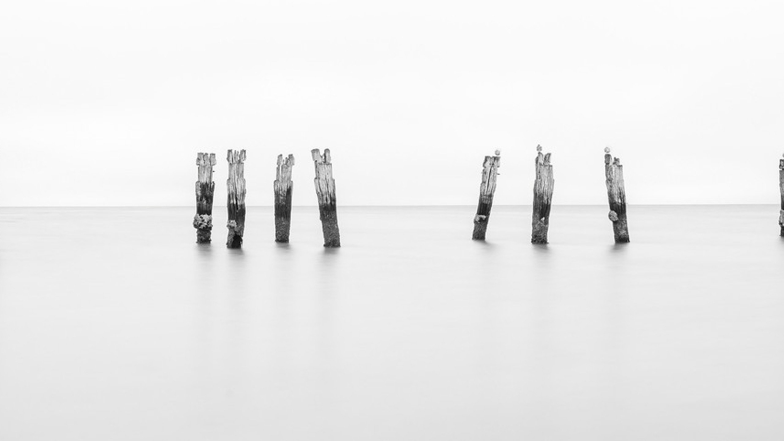 Judging: Monochrome and Open