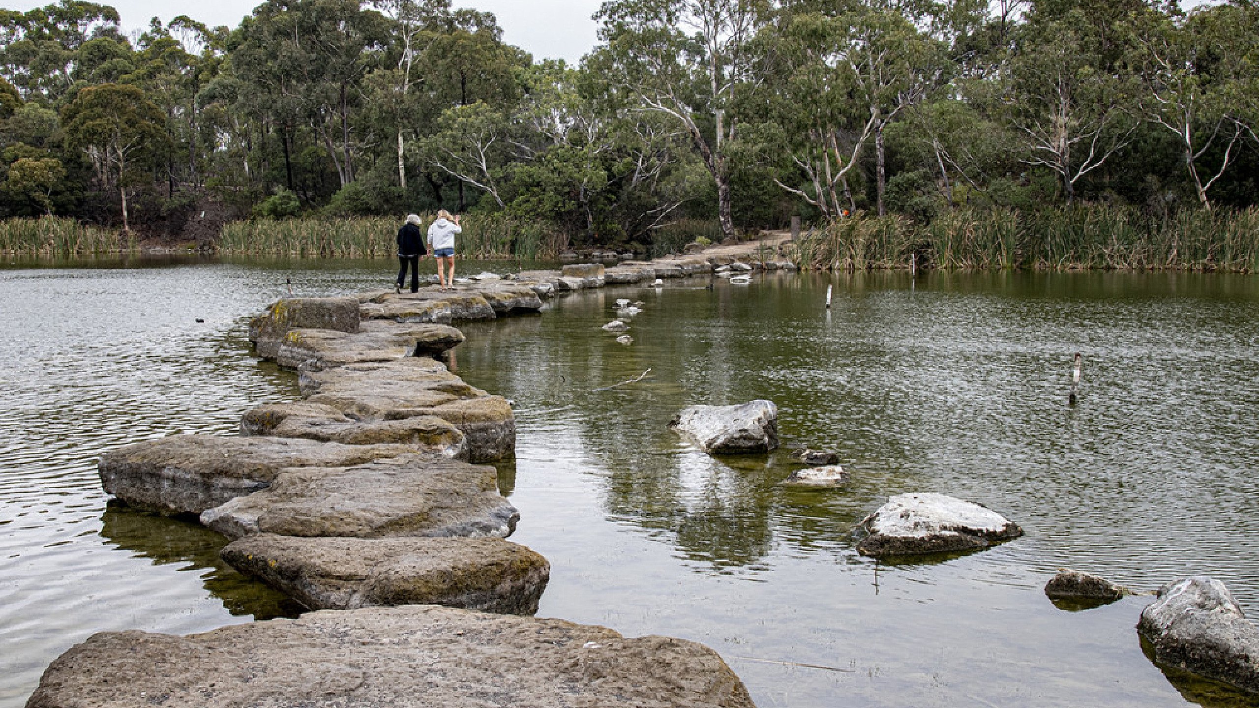 Newport Lakes Visit 2025