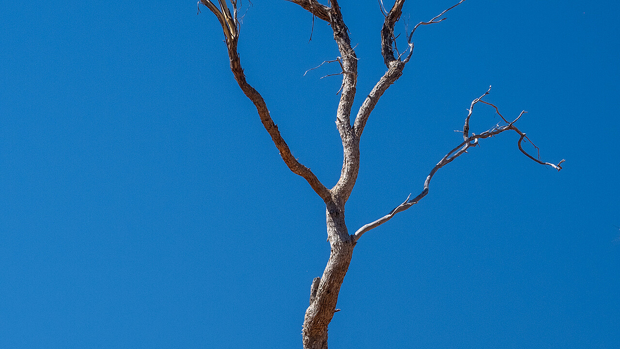 Heathcote Pink Cliffs Outing