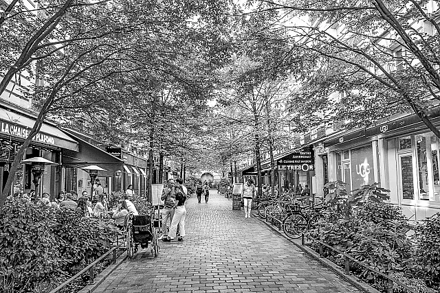 Out for Breakfast in Paris