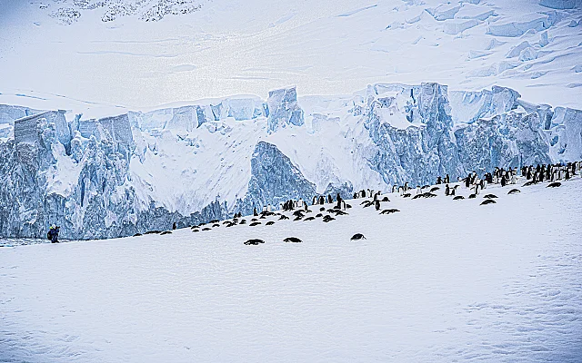 A Photographer and the Colony
