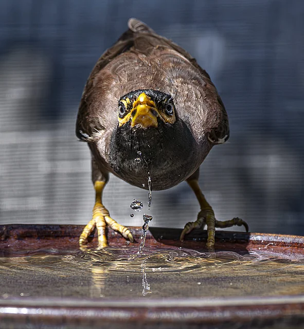 36 Degrees and I Need a Drink