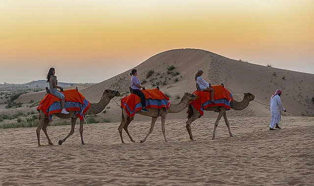 Camel Ride at Sunset