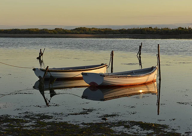 Boats at Sunset