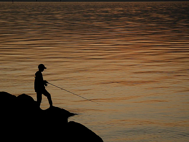 Tip of the Rod Focus