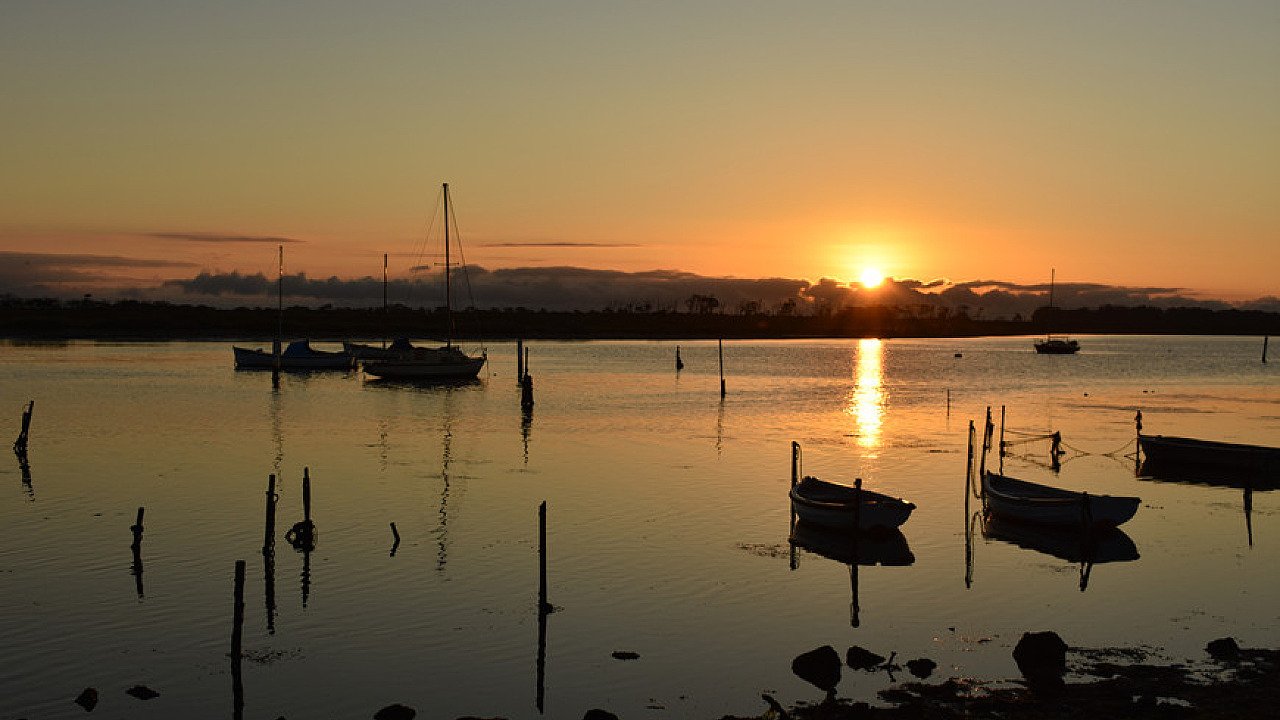 Landscape Special Interest Group Visits Werribee South
