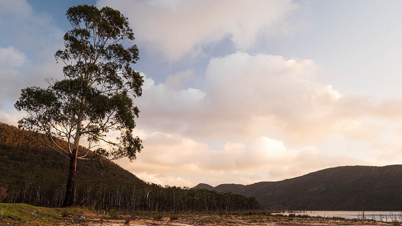 Lake Bellfield Morning Glow