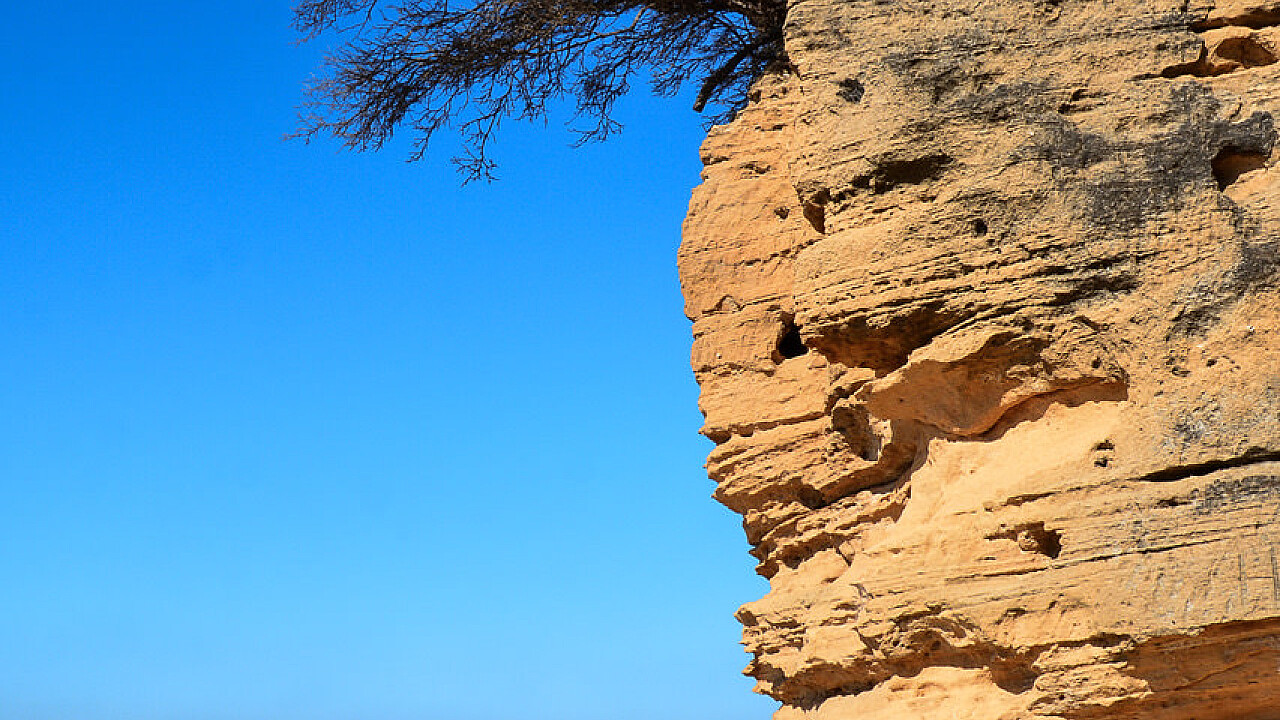 Queenscliff and Point Lonsdale Day Trip