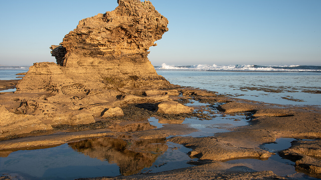 Queenscliff and Point Lonsdale Day Trip