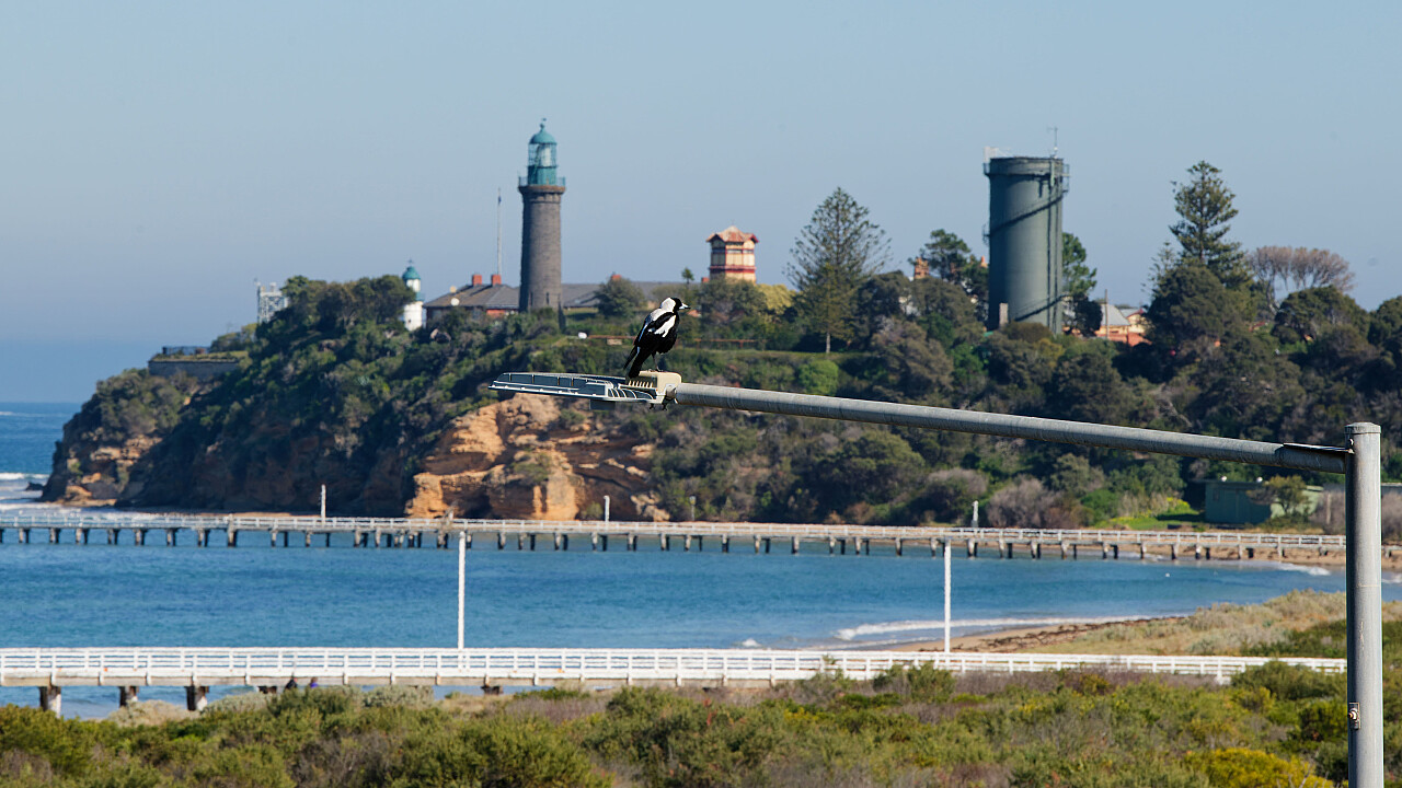 Queenscliff and Point Lonsdale Day Trip