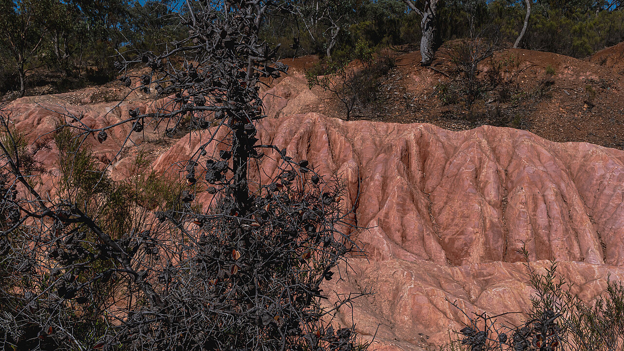 Heathcote Pink Cliffs